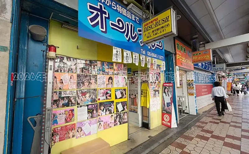 赏金国际手机版